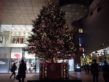 Illuminated christmas tree at night