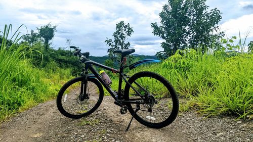 Bicycle parked by tree on field against sky