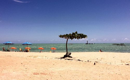 Scenic view of beach against clear blue sky