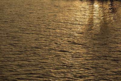 Full frame shot of dead tree