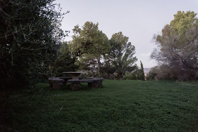 Tractor on field against trees