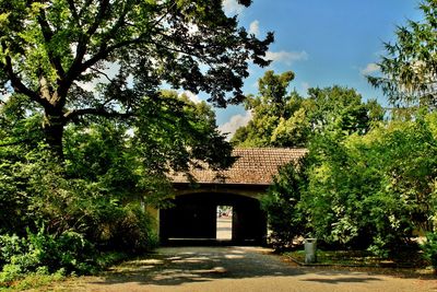 House amidst trees and building against sky