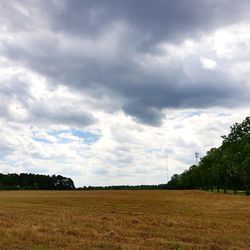 Scenic view of field against sky