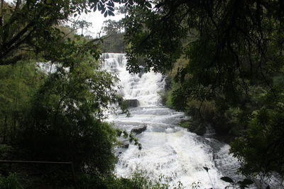 Scenic view of waterfall in forest