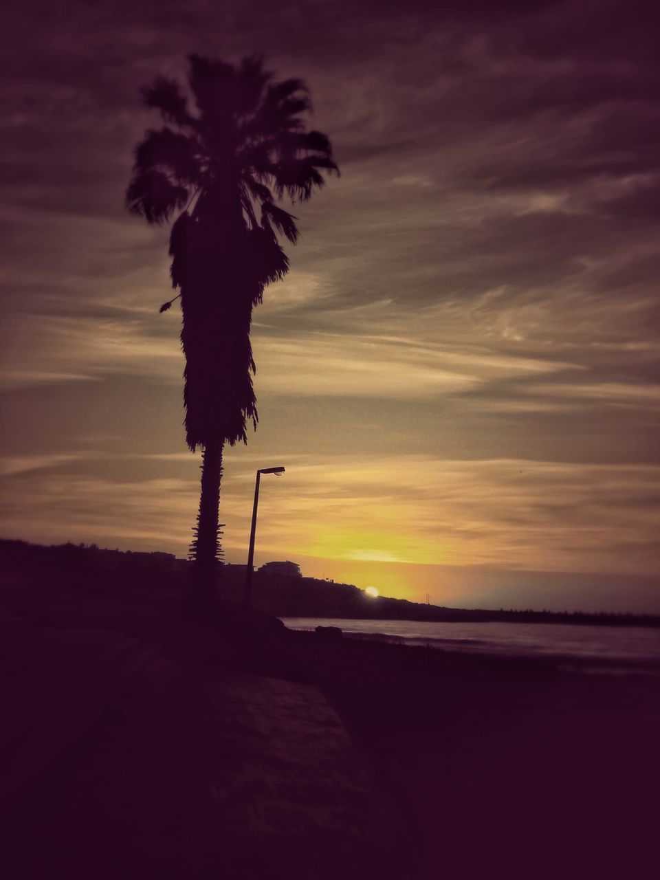 LOW ANGLE VIEW OF SILHOUETTE PALM TREE AGAINST SKY