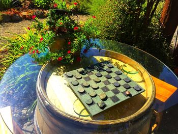 High angle view of flower pot in garden