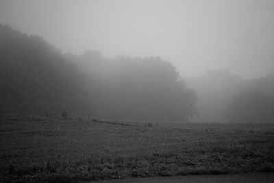 Scenic view of field against sky during foggy weather