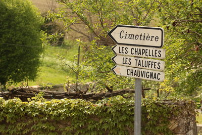 Close-up of road sign against trees