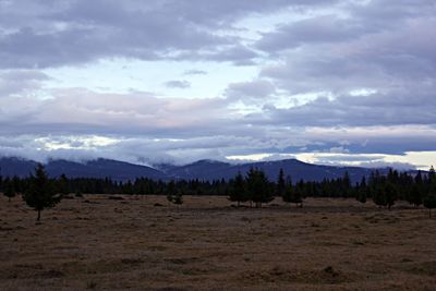 Scenic view of landscape against sky