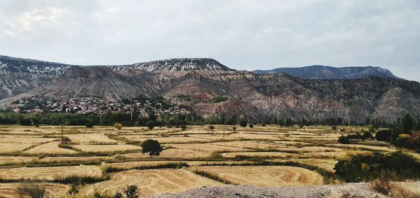 Scenic view of farm against sky