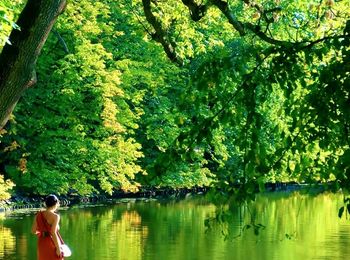 Reflection of woman in lake against trees