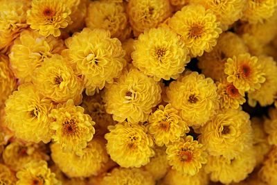 Close-up of yellow flowers in market