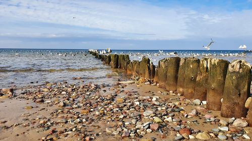 Scenic view of beach against sky