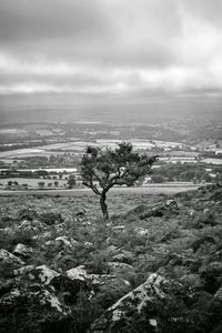 Scenic view of landscape against cloudy sky