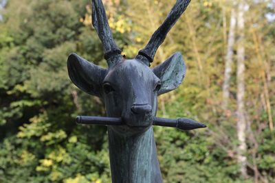 Close-up of statue deer