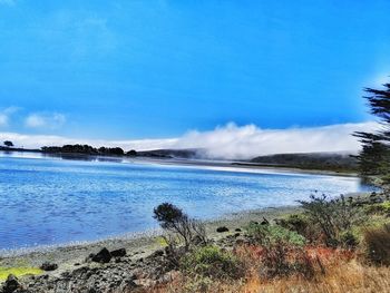 Scenic view of sea against blue sky