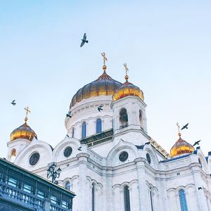 Low angle view of birds flying over cathedral of christ the saviour against sky