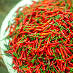Close-up of red chili peppers for sale