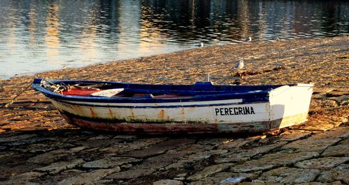 Boats in the sea