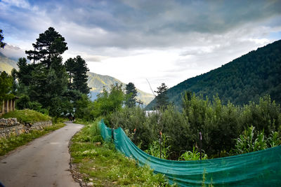 Road amidst trees against sky