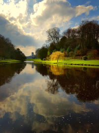 Reflection of trees in water