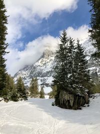 Pine trees on snow covered mountain against sky