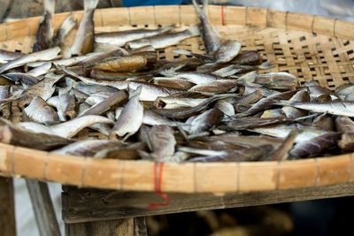 Fish for sale in market