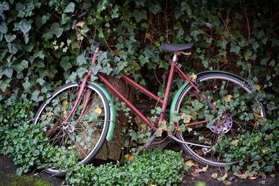 Bicycle parked by tree