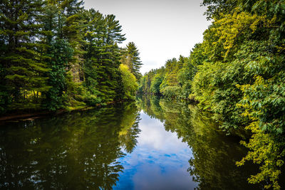 Scenic view of lake amidst trees at forest against sky