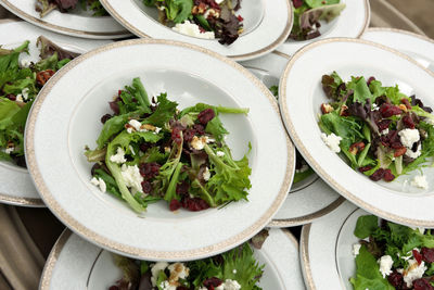 Full frame fresh mixed greens garden salad balsamic vinaigrette dried cranberries walnuts and feta