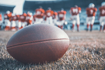 Close-up of ball on land