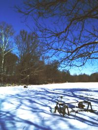 Snow on field against sky during winter