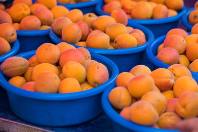 Close-up of tomatoes