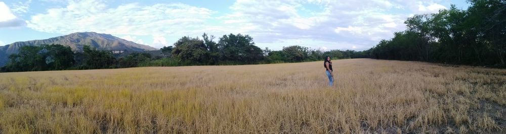 Scenic view of field against sky