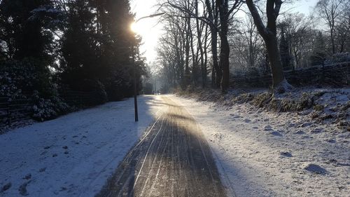 Road amidst trees in forest during winter