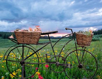 Bicycle in basket on field against sky