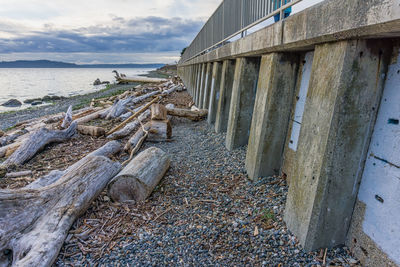 Driftwood line the shore by a wall in west seattle, washington.