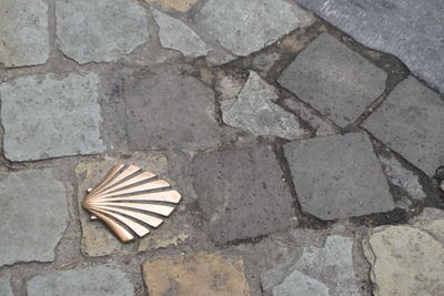 High angle view of stone on footpath