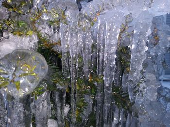 Close-up of frozen water