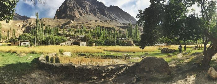 Panoramic shot of trees on landscape against sky