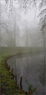 Scenic view of lake by trees against sky