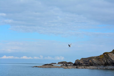 Seagull flying over sea against sky