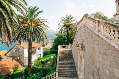 Palm trees and buildings against sky