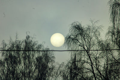 Low angle view of bare trees against sky