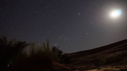 Low angle view of starry sky