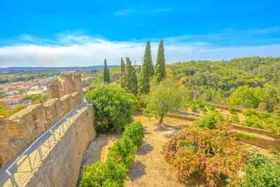 Panoramic shot of plants on landscape against sky