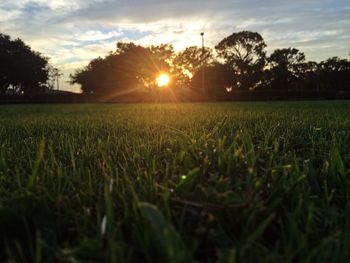 Scenic view of grassy field against sky at sunset