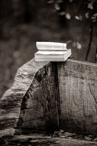 Close-up of stone stack on rock
