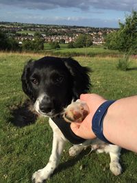 Cropped man holding dog limb at grassy field in park
