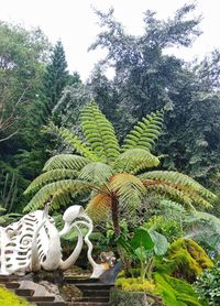 Statue against trees and plants in garden